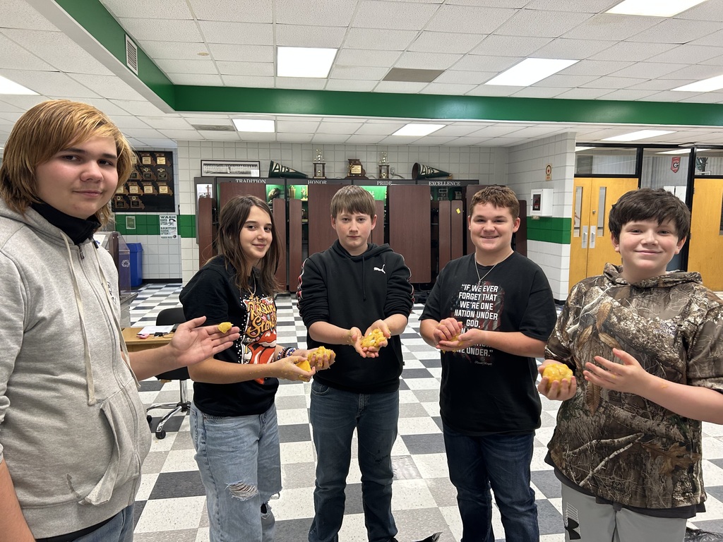 8th grade STEM